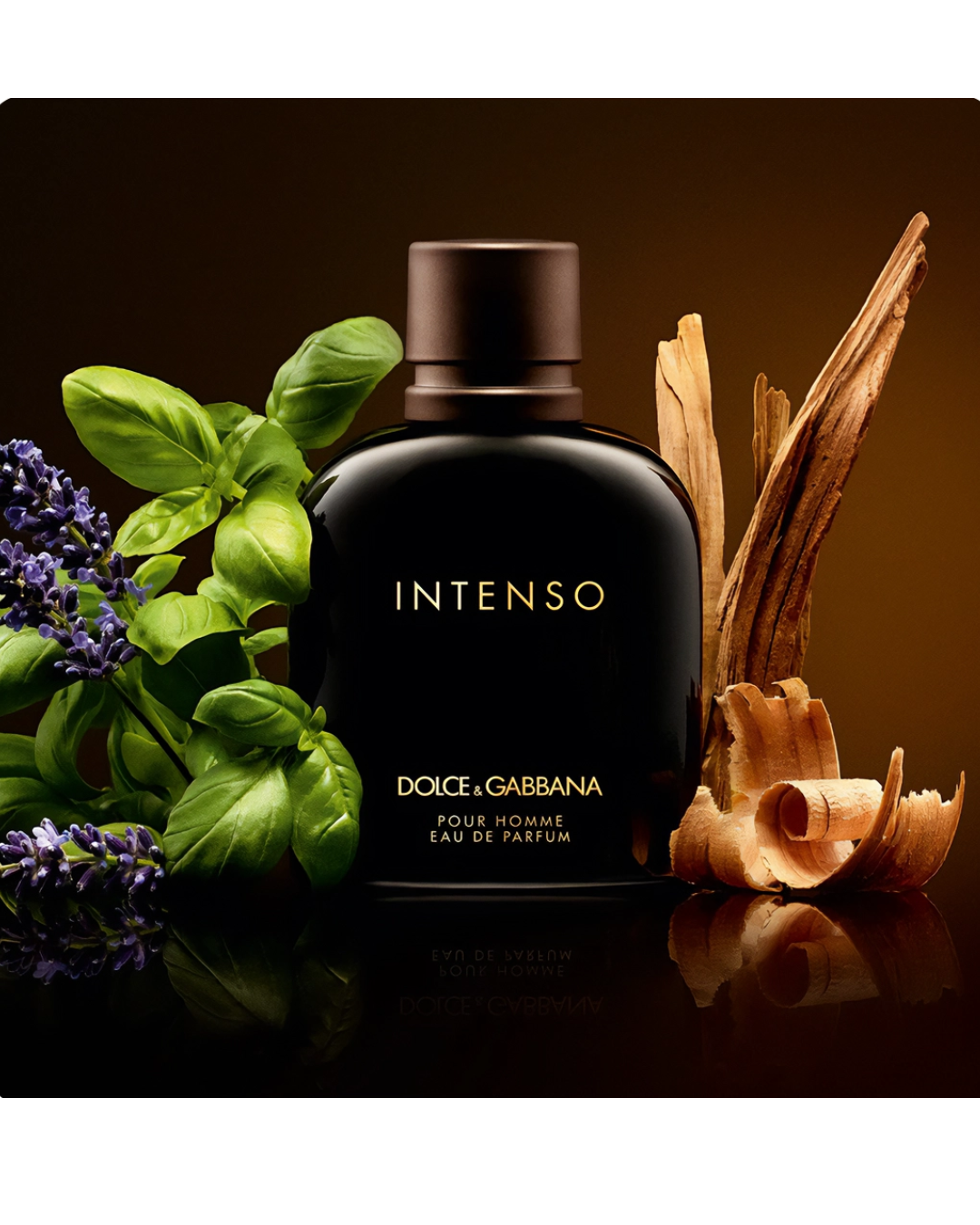 Perfume Dolge & gabbana Intenso 6.7 Edp Hombre