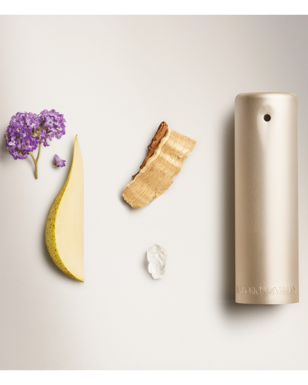 Perfume Emporio Armani Mujer 100 Ml