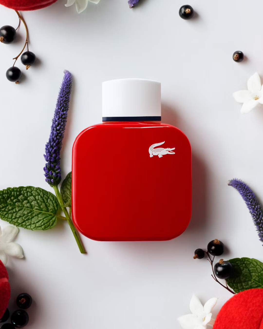 Perfume French Panache L.12.12 De Lacoste Para Mujer 90 ml